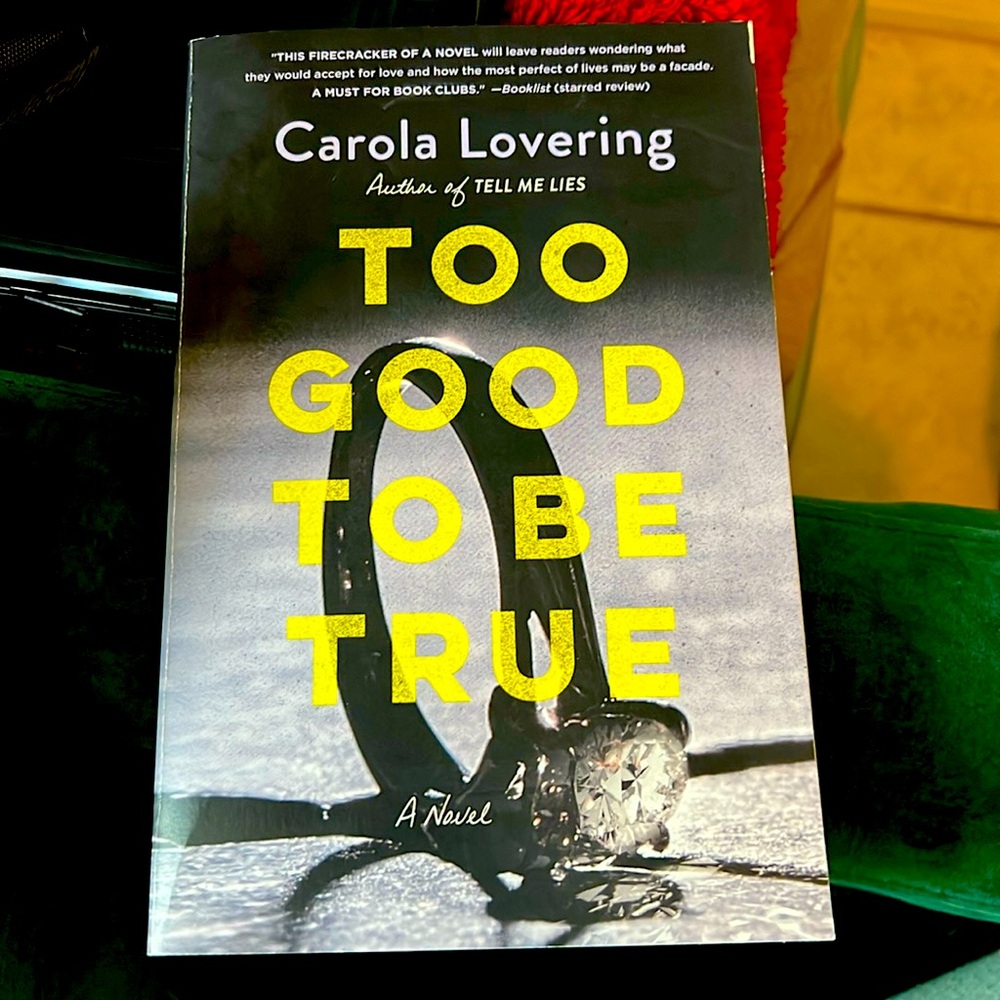 Too Good to be True novel by Carola Lovering